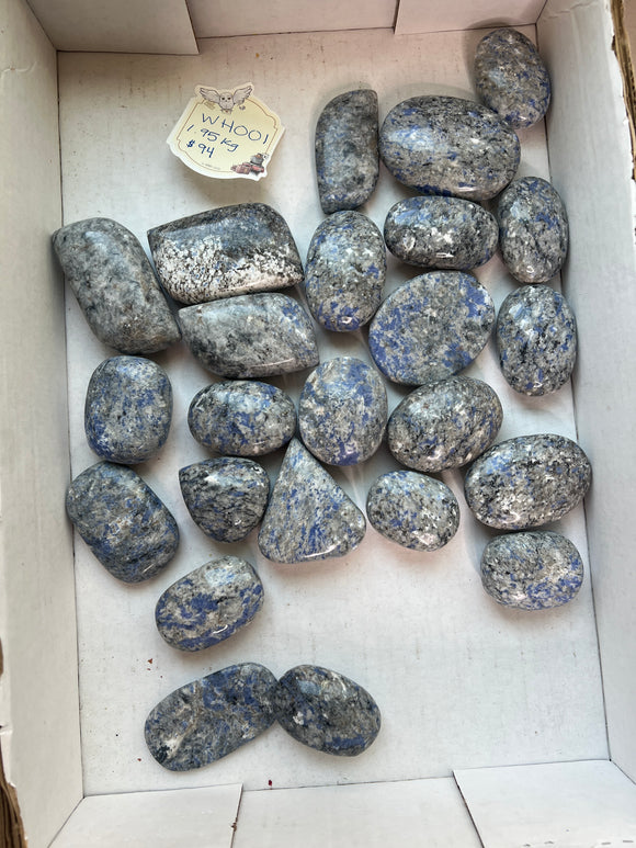 Wholesale Flat - 001 - Kyanite in Granite Palm Stones - 1.95kg